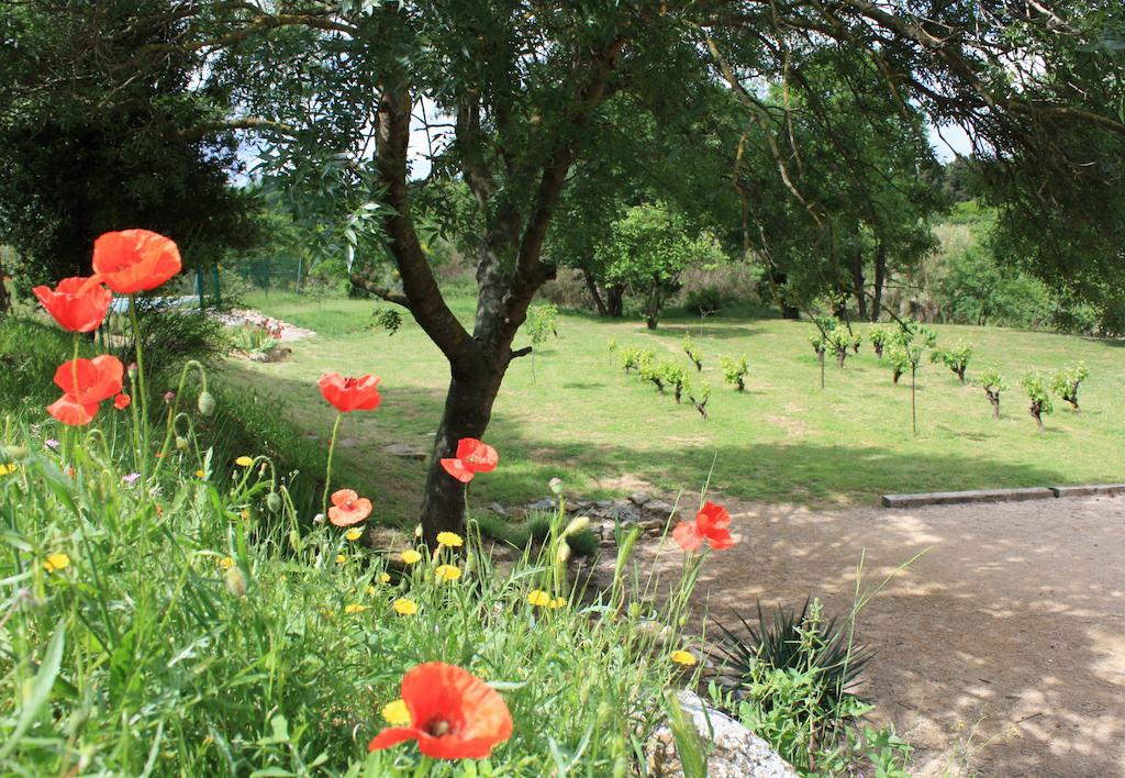 Domaine De "Creva-Tinas" Bed & Breakfast Mailhac Dış mekan fotoğraf